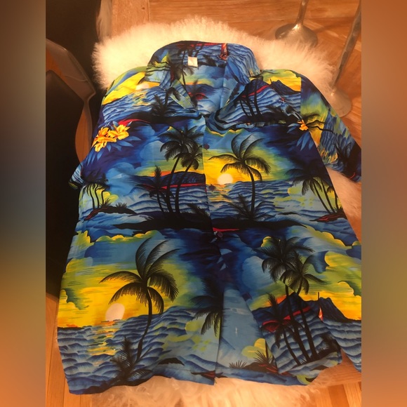EUC Gorgeous Paradise Clothing Rare Vintage mens Hawaiian Shirt in Size Large!! - Picture 2 of 7